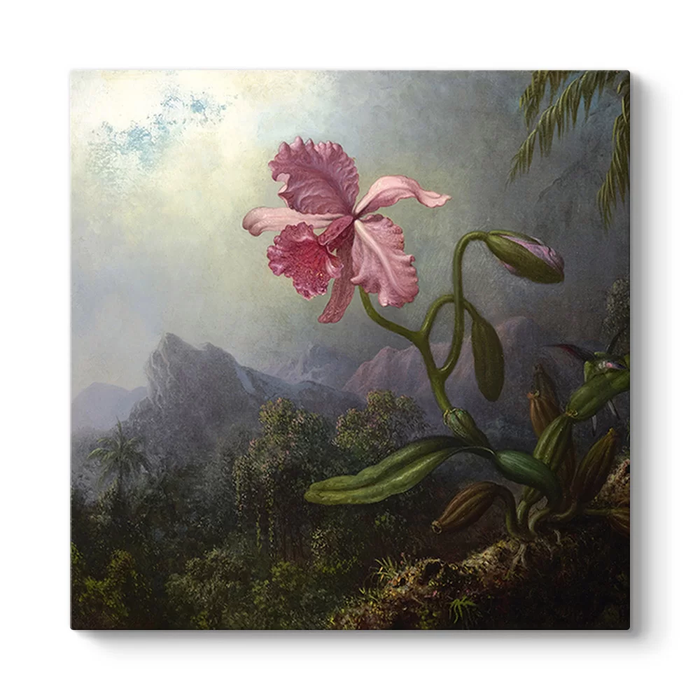 Martin Johnson Heade - Sinek Kuşları ve Orkide Tablosu - Model 3